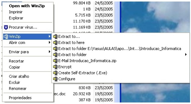 Winzip Winzip