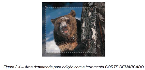 Imagens