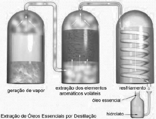 Aromaterapia Aromaterapia