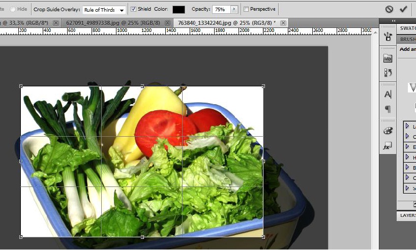 Photoshop CS5 Photoshop CS5