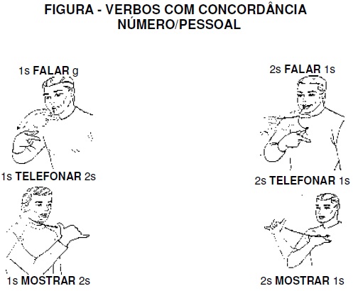 Libras 040 Libras 040