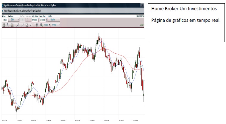 bolsa11 bolsa11