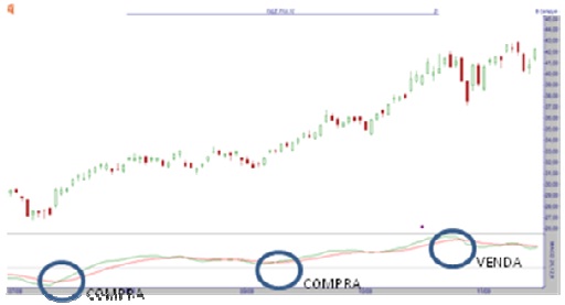 bolsa32 bolsa32