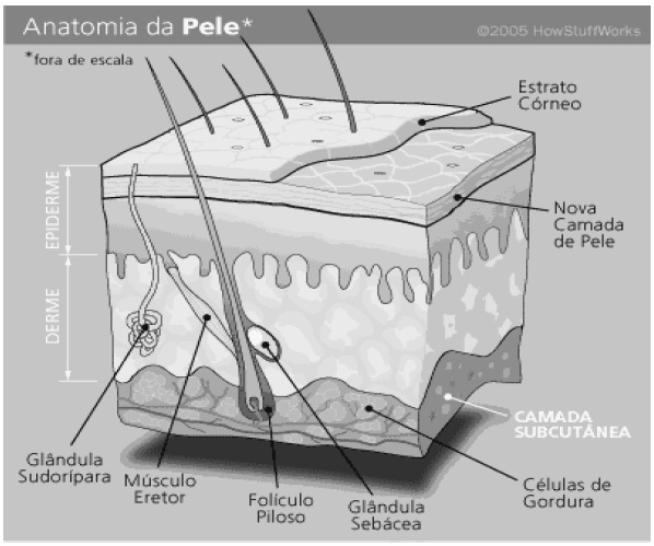 depilaçao5