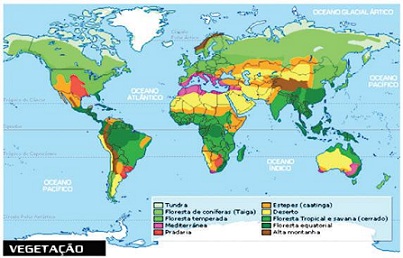 Vegetação mundial em Geografia