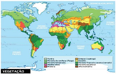 Principais tipos de vegetação do mundo - Toda Matéria