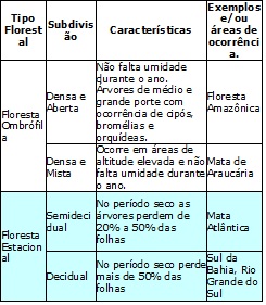 Características da Vegetação brasileira: resumo de geografia Enem