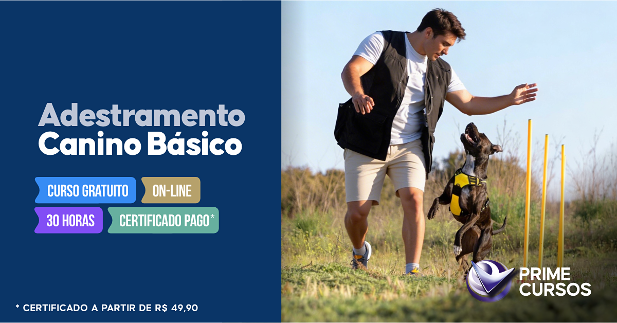 Curso de Adestramento Canino