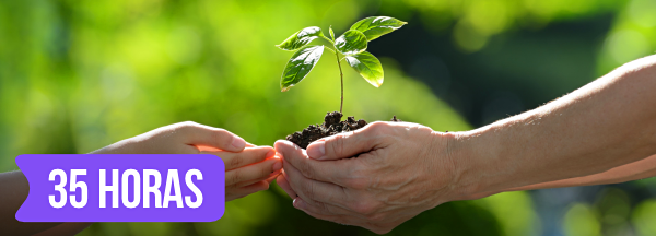 Curso grátis de Direito Ambiental Curso de Direito Ambiental
