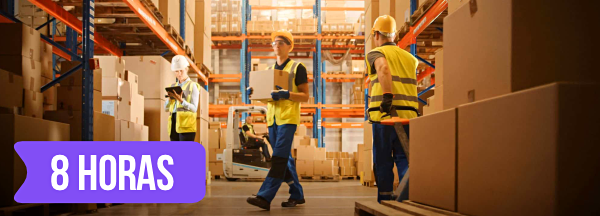 Curso de RECICLAGEM - NR 11 Bsico - Armazenagem e Manuseio Manual de Materiais 