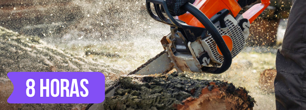 Curso de RECICLAGEM - NR 12 B�sico - Seguran�a no Trabalho em Motosserras 