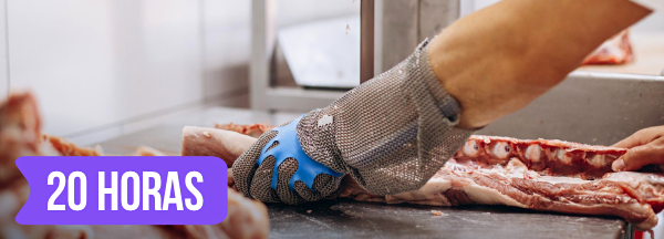 Curso de RECICLAGEM - NR 12 B�sico - Seguran�a no Trabalho em M�quinas para A�ougue e Mercearia