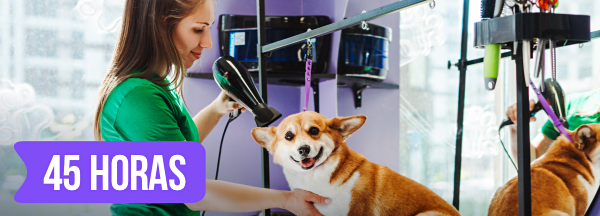 Curso grátis de Auxiliar de Veterinário e Pet Shop Básico Curso de Auxiliar de Veterinário e Pet Shop Básico