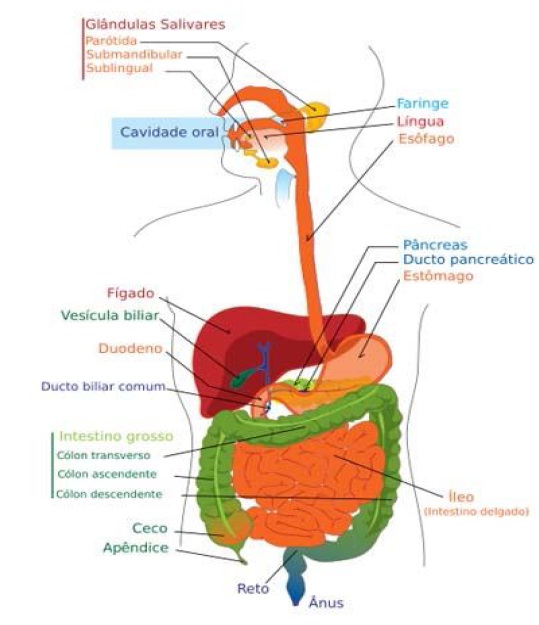 nutricao1