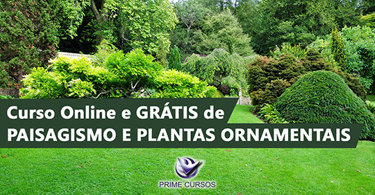 Curso Grátis de Paisagismo e Plantas Ornamentais