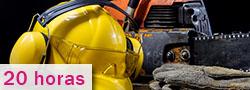 Curso grátis de RECICLAGEM - NR 12 Básico - Segurança no Trabalho em Motosserras Curso de RECICLAGEM - NR 12 Básico - Segurança no Trabalho em Motosserras