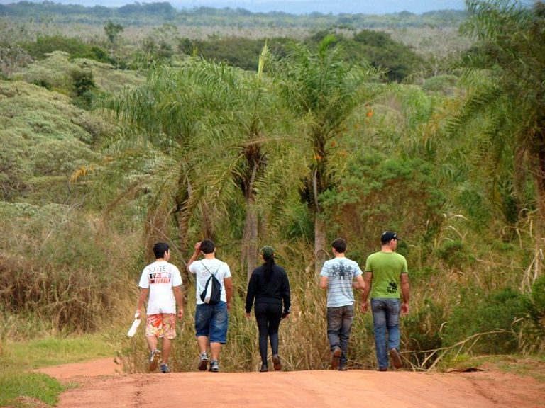 Você sabe o que é um Curso de Ecoturismo?