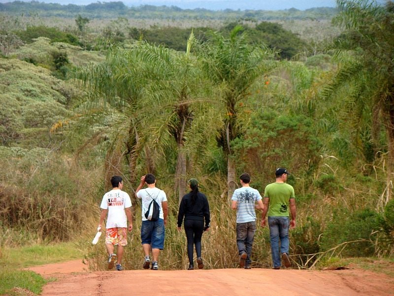 Curso de Ecoturismo Gratuito