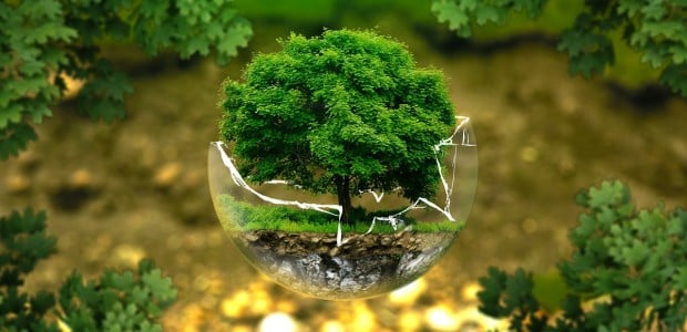 maneira sustentável recursos natureza