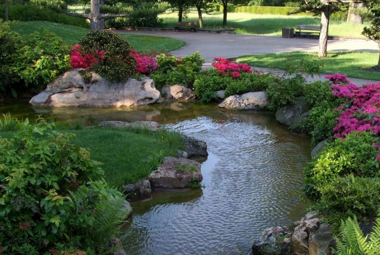 Saiba mais sobre paisagismo e plantas ornamentais