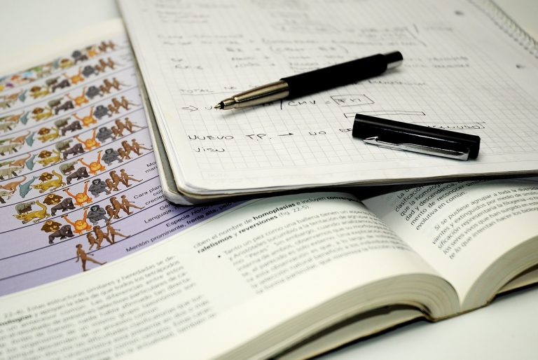 Conheça as principais bolsas do Governo para entrar na faculdade