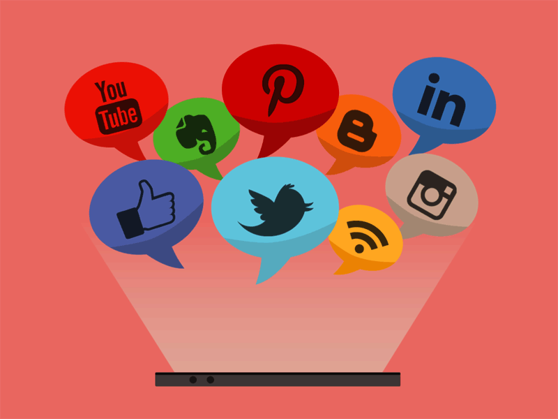 O profissional da área deve ter visão para analisar em quais redes sociais a marca deve estar. 