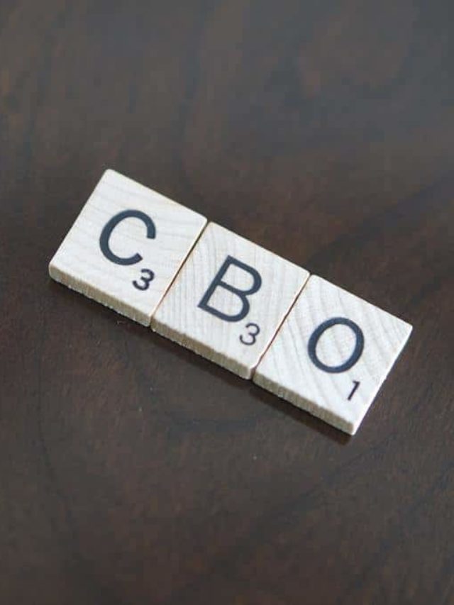 O que é CBO do cargo e como saber a função por ela?