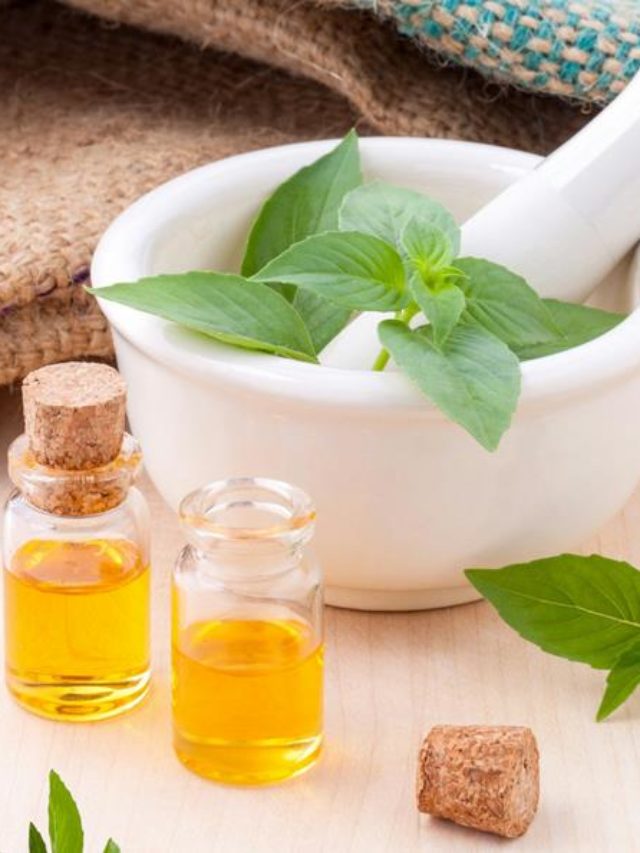 Como funciona a aromaterapia, como aplicá-la e seus benefícios?