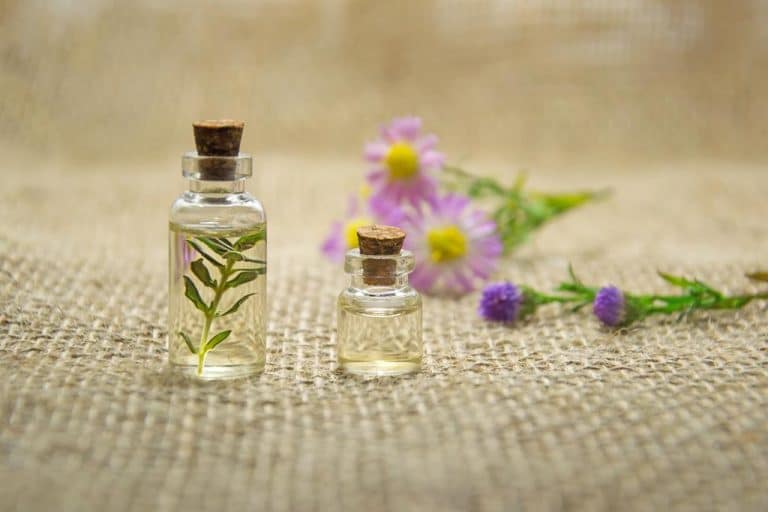 Como funciona a aromaterapia, como aplicá-la e quais os seus benefícios?