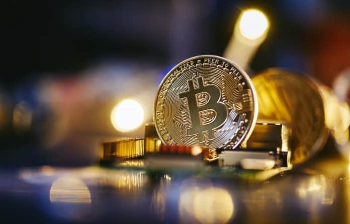 tudo sobre a criptomoeda gala