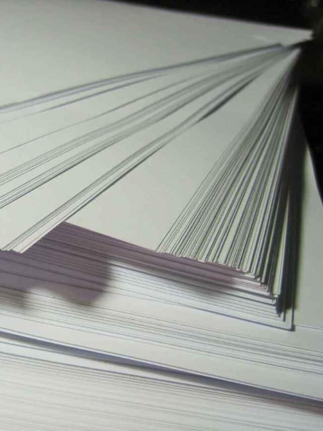 Coletivo de Papel: Resolvendo Dúvidas de Português!