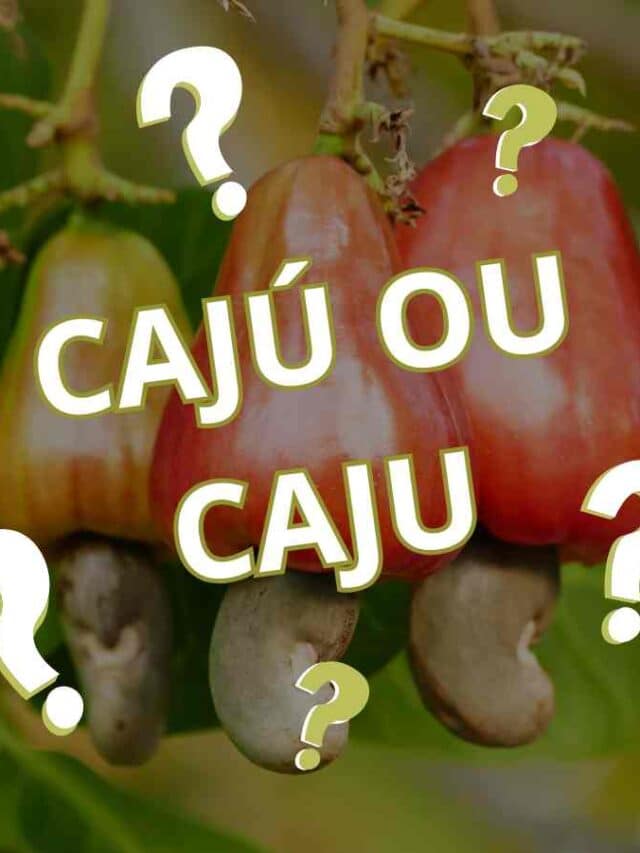 Cajú ou Caju, Com ou Sem Acento? Descubra a Forma Correta!