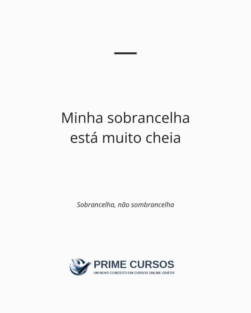 Frase exemplo: Minha sobrancelha está muito cheia