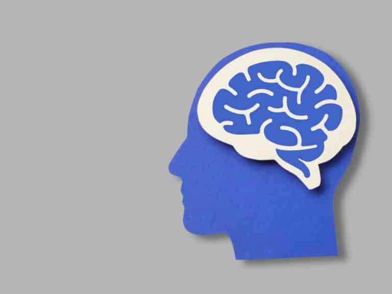 Figura conceitual de cérebro em destaque simbolizando como o cérebro adquire conhecimento através de estratégias de apredizagem aceleradas